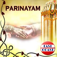 Kalyananaal Punnaranaal (From "Haleeli") - Biju Narayanan