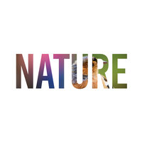 The Drizzle - Nature Sounds Nature Music