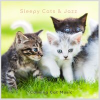Snoring as Ever - Calming Cat Music