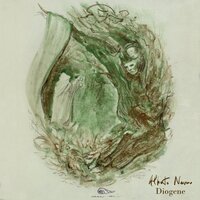 Solo bugie - Alberto Nemo