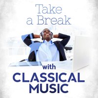 Concerto for Violin, Strings & Continuo in A Minor, TWV 51a2: II. Andante - Zagreb Soloists & Георг Филипп Телеман