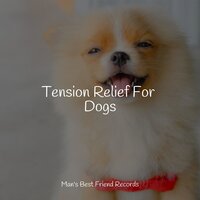 Serene Sounds - Especialistas de Musica para Dormir & Pet Care Music Therapy & Deep Sleep Meditation