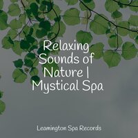 Sleepy - Sleepy Times & Calming Sounds & Sound Sleeping