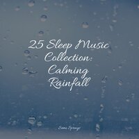 Strong Rain - Sleep Rain & The Relaxing Sounds of Swedish Nature & Sound Healing Center