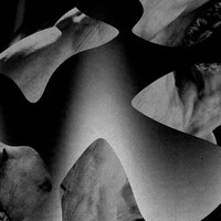 Disordine - Oisel
