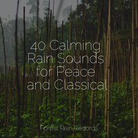 Gentle Rain Drops - Pacific Rim Nature Sounds & Study Music & Sounds & ZEN