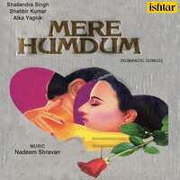 Tum Mujhe Apni Mohabbat - Shabbir Kumar