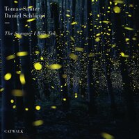 Wish Upon a Star - Daniel Schläppi & Tomas Sauter