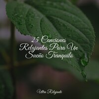 Sueños a La Deriva - Musica Relajante Para Dormir & Relajación Meditar Academie & Meditação Zen