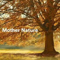 Rain and Singing Birds - Naturgeräusche für Entspannung und Erholung & Musique Coeur de la Nature & La Naturaleza Del Sueño