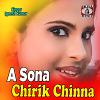 A Sona Chirik Chinna - Ignesh Kumar