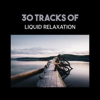 Hypnotic Booster - Liquid Relaxation Oasis
