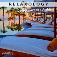 Feel - Ambientology