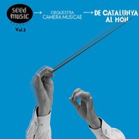 Vistes al Mar: Allegro con Brio - Orquestra Simfònica Camera Musicae & Marta Mathéu & Albert Guinovart