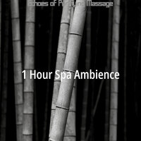 Background for Revitalizing Facials - 1 Hour Spa Ambience