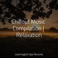 Ambient Noise - Classical Study Music & Powerthoughts Meditation Club & Rain Forest FX