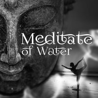 Nature Sounds - Buddha Lounge Ensemble