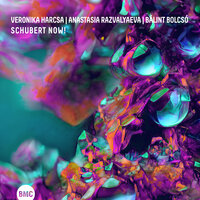 Des Baches Wiegenlied - Anastasia Razvalyaeva & Veronika Harcsa & Bálint Bolcsó & Франц Шуберт