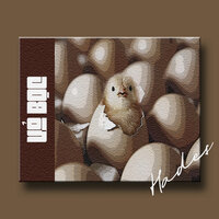 Vỏ Bọc - Hades