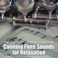 Ambient Therapy Music (Calmness) - Flute Music Ensemble