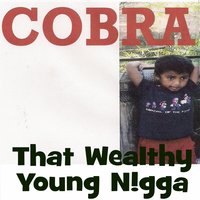 Unlimited Waves of Cash - Cobra