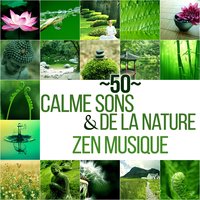 Ralentissez le rythme cardiaque - Just Relax Music Universe