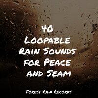 Creek, Waterflow, Stream - Nature Sounds & Calm shores & Trouble Sleeping Music Universe