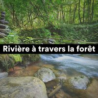 Des mélodies du paradis - Détente et Relaxation