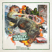 Tunnel Vision - Swamp Thing & Ollie Teeba & Wordburglar & DJiRATE & Swamp Thing, Ollie Teeba feat. Wordburglar, DJiRATE