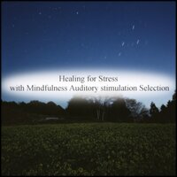 Diamond & Rest - Mindfulness Auditory Stimulation Selection