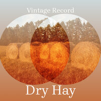 Cool wind - Vintage Record