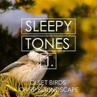 Quiet Birds Chirp Soundscape, Pt. 9 - Jason Rivers