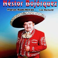 Que Suerte La Mia - Nestor Bojorquez