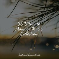 Glide of the Butterflies - Zen Meditate & Sleep Waves & Massagem