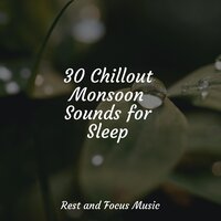 Waves of Relaxation - Native American Flute & Spa & Sleep Waves
