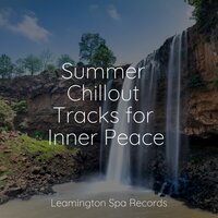 Echoes of Peace - Tranquil Music Sounds of Nature & Nature Sounds Radio & Tonal Meditation Collective