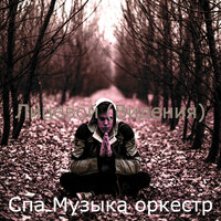 Созерцая (Лицевой) - Спа Музыка оркестр