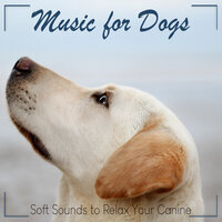 Doggy Spa Relaxation - RelaxMyDog & Dog Music Dreams & Pet Music Therapy