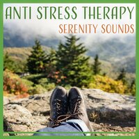 Go to the Beach - Less Stress Music Academy