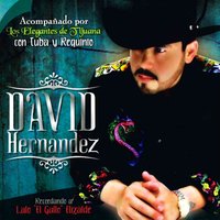 El Bandolero - David Hernandez & Los Elegantes De Tijuana