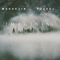 Imagining - PZedOz & Mshokzin & Stoney