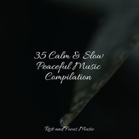Feeling Healthy - Kings of Nature & Sleeping Music & Meditative Music Guru