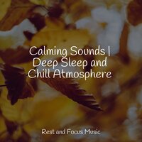 Swaying Calmness - Deep Sleep & Musica Relaxante & Childrens Music
