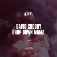 Motherless Children - David Crosby