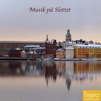 Bach: Concerto for Piano and Orchestra No. 5 in F minor, BWV 1056: II. Largo - Royal Swedish Chamber Orchestra & St. Petersburg Hermitage Orchestra & Johann Sebastian Bach