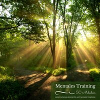 Entspannende Musik - Autogenes Training Guru