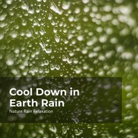 Pacific Rain on Land - Rain Recorders & Rainfall & Nature Rain Relaxation