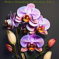 Italian Concerto in F Major, BWV 971 - Walter Gieseking & Johann Sebastian Bach