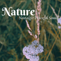 Emotional Reverberation - Spa & Spa & Nature Sounds Piano & Night Sounds Association