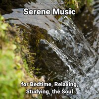 Serene Music Part 66 - Sleep Music & Relaxing music & Yoga